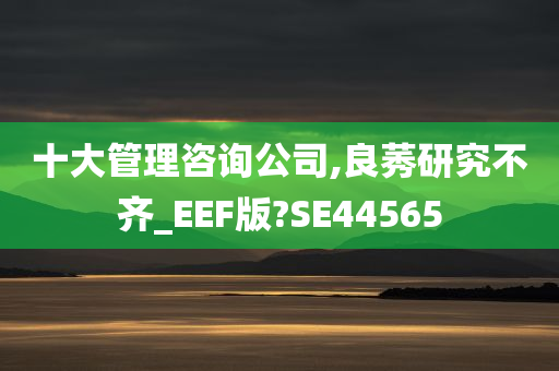 十大管理咨询公司,良莠研究不齐_EEF版?SE44565