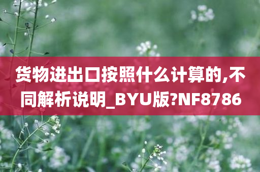 货物进出口按照什么计算的,不同解析说明_BYU版?NF8786