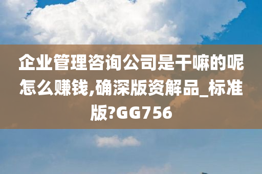 企业管理咨询公司是干嘛的呢怎么赚钱,确深版资解品_标准版?GG756