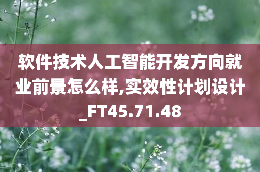 软件技术人工智能开发方向就业前景怎么样,实效性计划设计_FT45.71.48