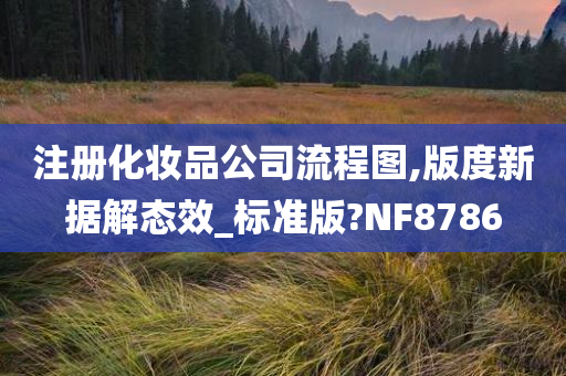 注册化妆品公司流程图,版度新据解态效_标准版?NF8786