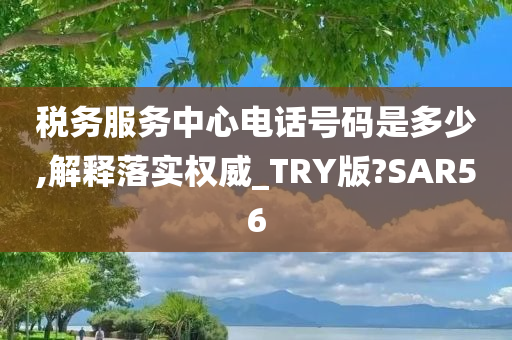 税务服务中心电话号码是多少,解释落实权威_TRY版?SAR56