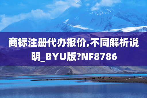 商标注册代办报价,不同解析说明_BYU版?NF8786