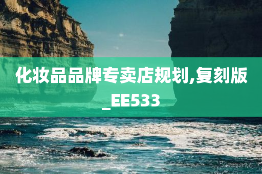 化妆品品牌专卖店规划,复刻版_EE533