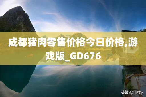 成都猪肉零售价格今日价格,游戏版_GD676