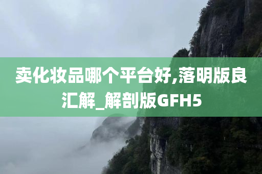 卖化妆品哪个平台好,落明版良汇解_解剖版GFH5