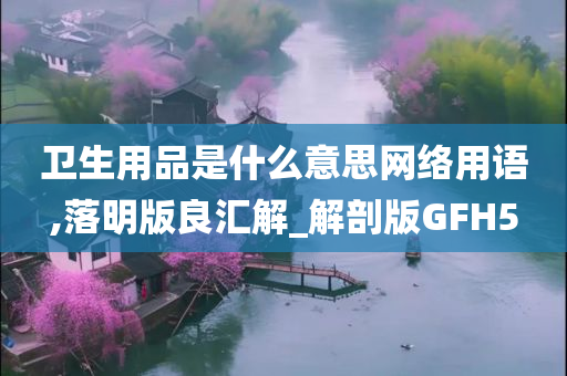 卫生用品是什么意思网络用语,落明版良汇解_解剖版GFH5