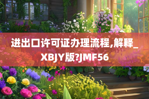 进出口许可证办理流程,解释_XBJY版?JMF56