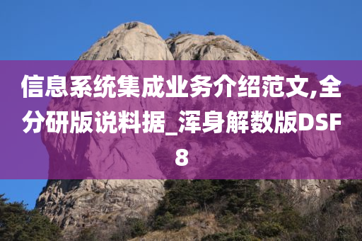 信息系统集成业务介绍范文,全分研版说料据_浑身解数版DSF8