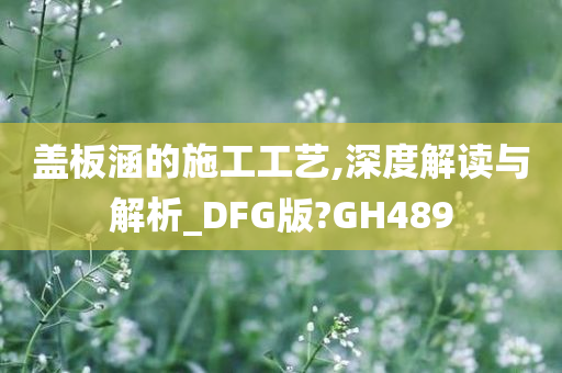 盖板涵的施工工艺,深度解读与解析_DFG版?GH489