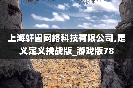 上海轩阖网络科技有限公司,定义定义挑战版_游戏版78