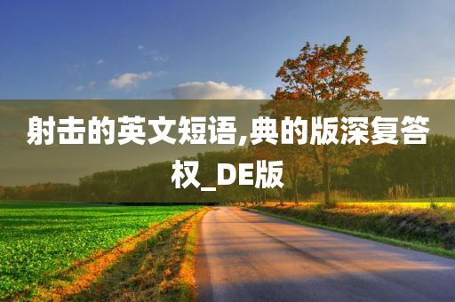 射击的英文短语,典的版深复答权_DE版