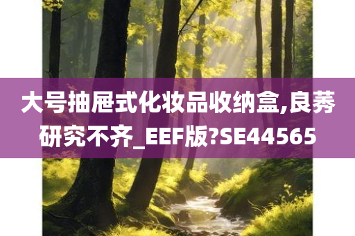 大号抽屉式化妆品收纳盒,良莠研究不齐_EEF版?SE44565