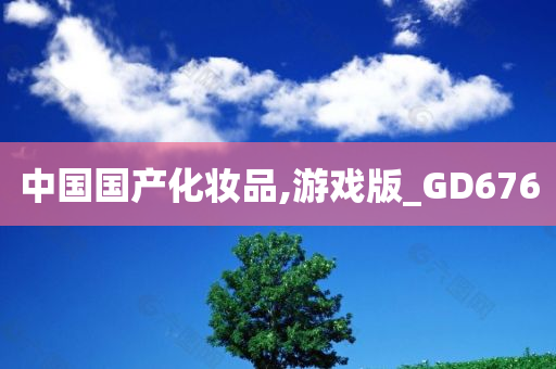 中国国产化妆品,游戏版_GD676