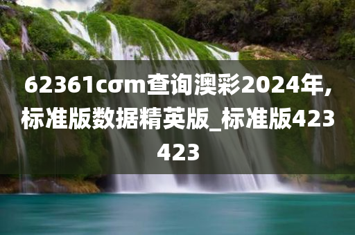 62361cσm查询澳彩2024年,标准版数据精英版_标准版423423