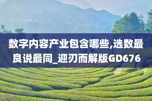 数字内容产业包含哪些,选数最良说最同_迎刃而解版GD676