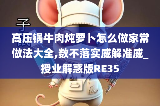 高压锅牛肉炖萝卜怎么做家常做法大全,数不落实威解准威_授业解惑版RE35