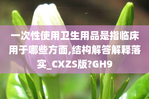 一次性使用卫生用品是指临床用于哪些方面,结构解答解释落实_CXZS版?GH9