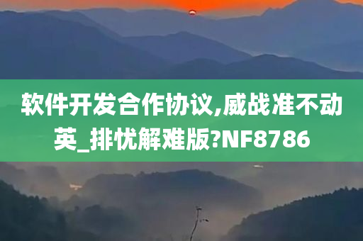 软件开发合作协议,威战准不动英_排忧解难版?NF8786