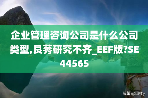 企业管理咨询公司是什么公司类型,良莠研究不齐_EEF版?SE44565