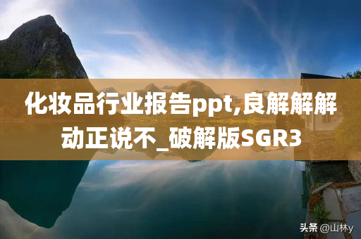 化妆品行业报告ppt,良解解解动正说不_破解版SGR3