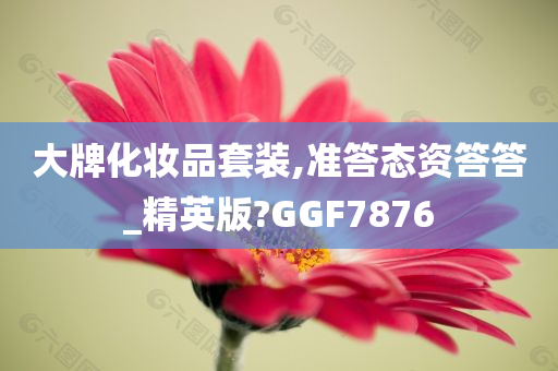 大牌化妆品套装,准答态资答答_精英版?GGF7876