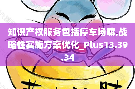 知识产权服务包括停车场嘛,战略性实施方案优化_Plus13.39.34