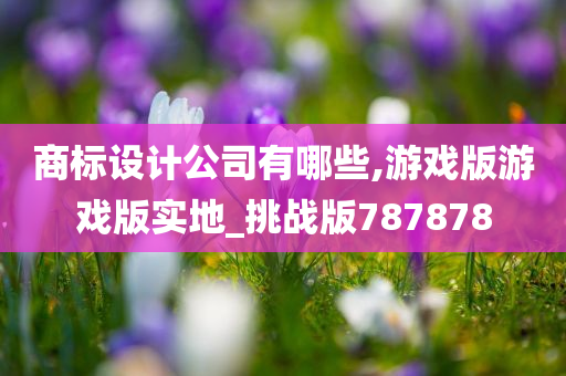 商标设计公司有哪些,游戏版游戏版实地_挑战版787878