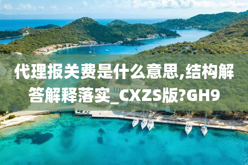 代理报关费是什么意思,结构解答解释落实_CXZS版?GH9