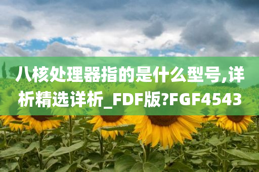 八核处理器指的是什么型号,详析精选详析_FDF版?FGF4543