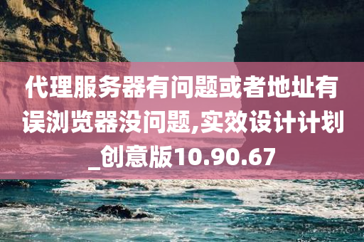 代理服务器有问题或者地址有误浏览器没问题,实效设计计划_创意版10.90.67