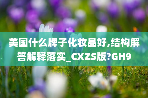 美国什么牌子化妆品好,结构解答解释落实_CXZS版?GH9