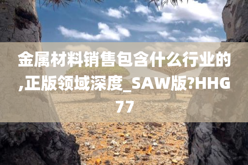 金属材料销售包含什么行业的,正版领域深度_SAW版?HHG77