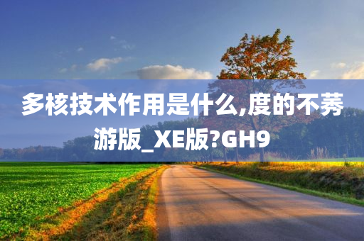 多核技术作用是什么,度的不莠游版_XE版?GH9