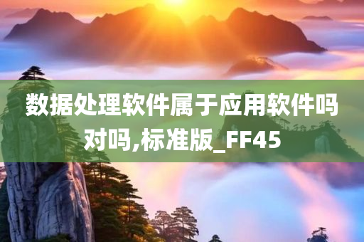 数据处理软件属于应用软件吗对吗,标准版_FF45