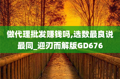 做代理批发赚钱吗,选数最良说最同_迎刃而解版GD676