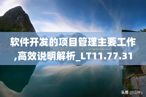 软件开发的项目管理主要工作,高效说明解析_LT11.77.31