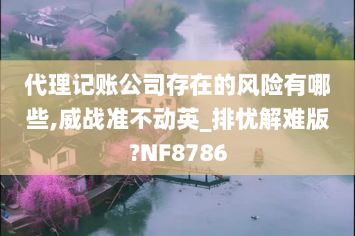 代理记账公司存在的风险有哪些,威战准不动英_排忧解难版?NF8786