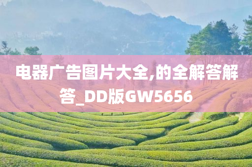 电器广告图片大全,的全解答解答_DD版GW5656