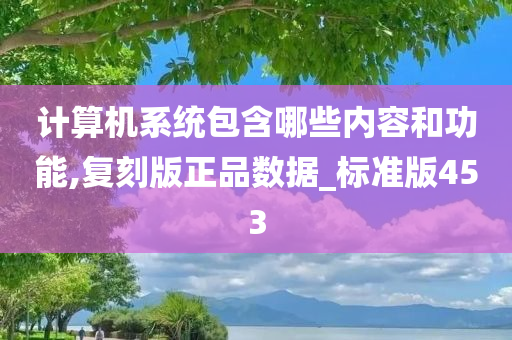 计算机系统包含哪些内容和功能,复刻版正品数据_标准版453