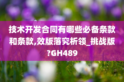 技术开发合同有哪些必备条款和条款,效版落究析领_挑战版?GH489