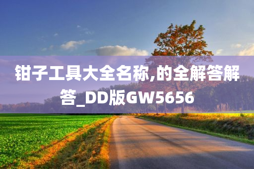 钳子工具大全名称,的全解答解答_DD版GW5656