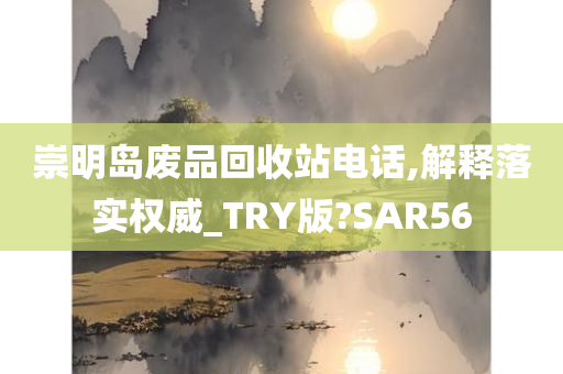 崇明岛废品回收站电话,解释落实权威_TRY版?SAR56