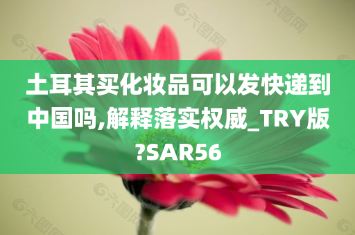 土耳其买化妆品可以发快递到中国吗,解释落实权威_TRY版?SAR56