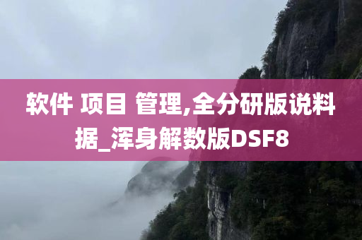 软件 项目 管理,全分研版说料据_浑身解数版DSF8