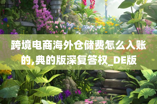 跨境电商海外仓储费怎么入账的,典的版深复答权_DE版