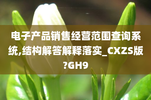 电子产品销售经营范围查询系统,结构解答解释落实_CXZS版?GH9