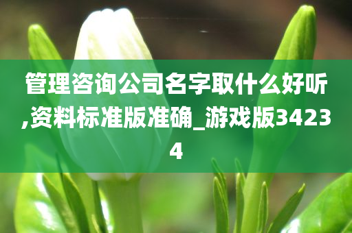 管理咨询公司名字取什么好听,资料标准版准确_游戏版34234