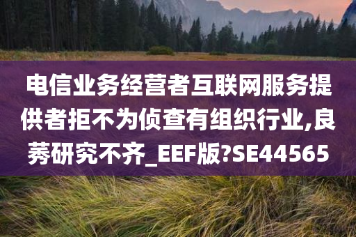 电信业务经营者互联网服务提供者拒不为侦查有组织行业,良莠研究不齐_EEF版?SE44565