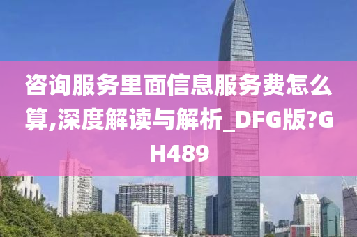 咨询服务里面信息服务费怎么算,深度解读与解析_DFG版?GH489